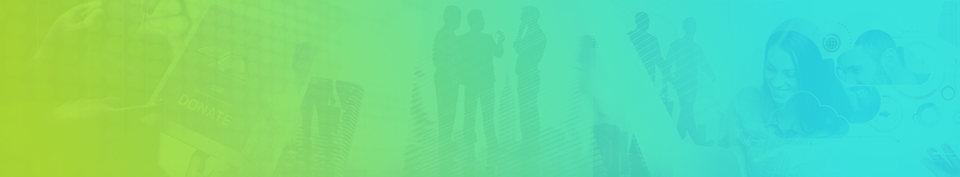 Salesforce Consulting Partner