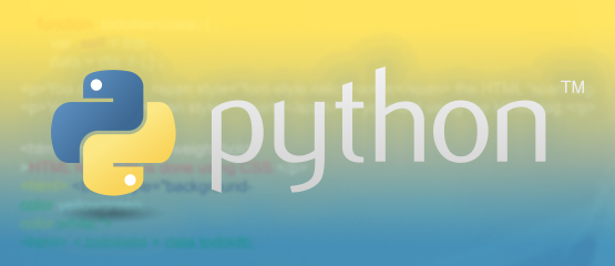 python development services