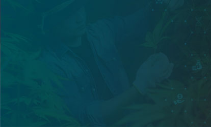 Cannabis Insurance Management Solution