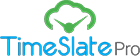 timestatepro Salesforce TimeSlate Pro
