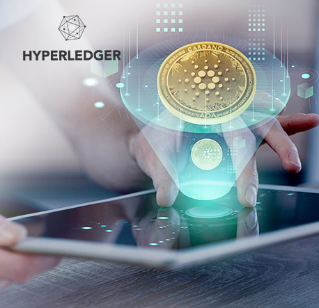 Hyperledger Development Services