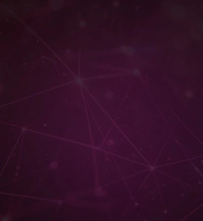 LLM Fine-Tuning Services