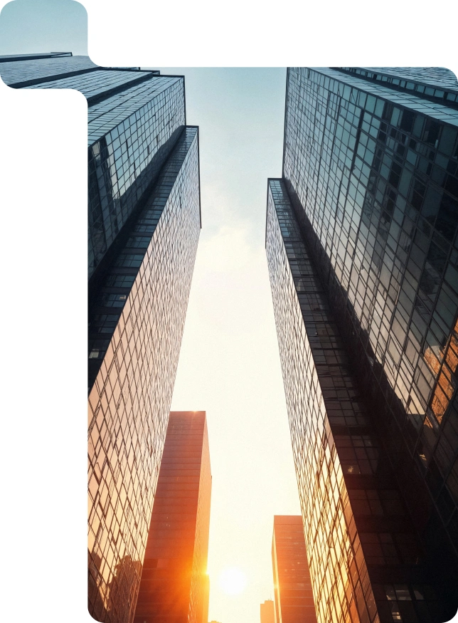 Enterprise Application Management Services