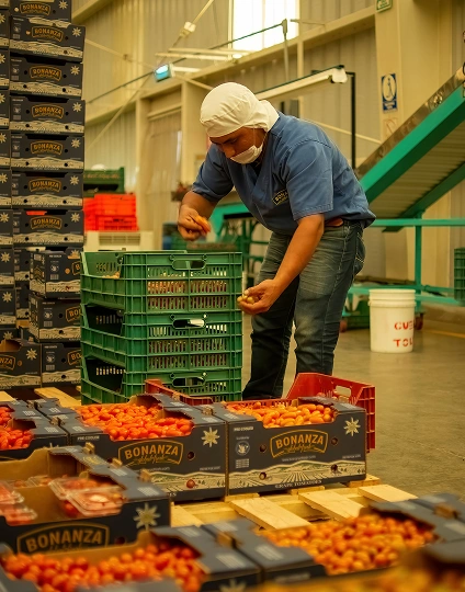 Hyperledger Sawtooth