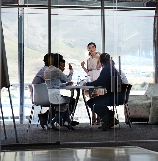 Low Code Software Development