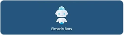 Einstein Bots