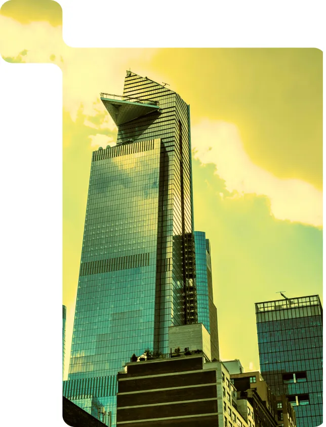 Data Visualization Solutions