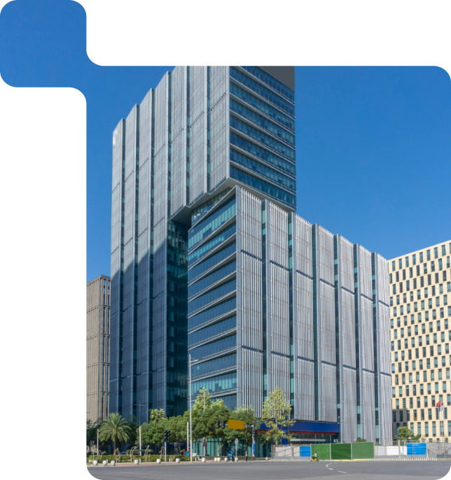 CTO Consulting Services