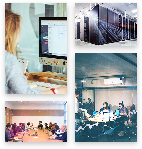 data development services