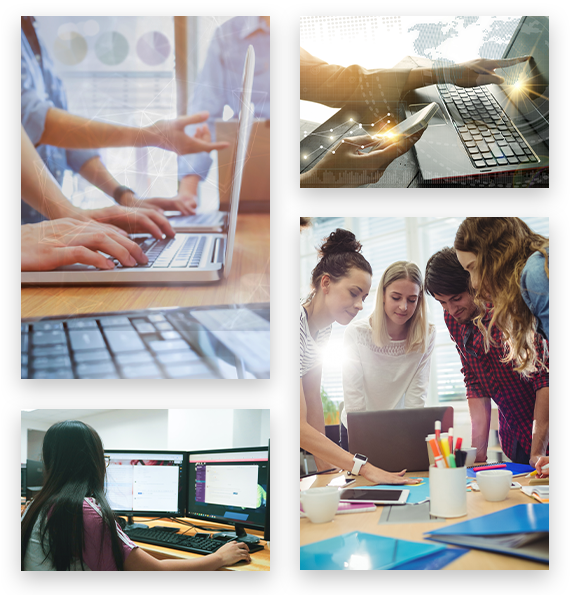 online data collection service