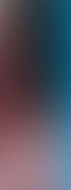 Flutter mobile