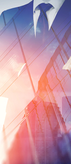 smart data collection for market research