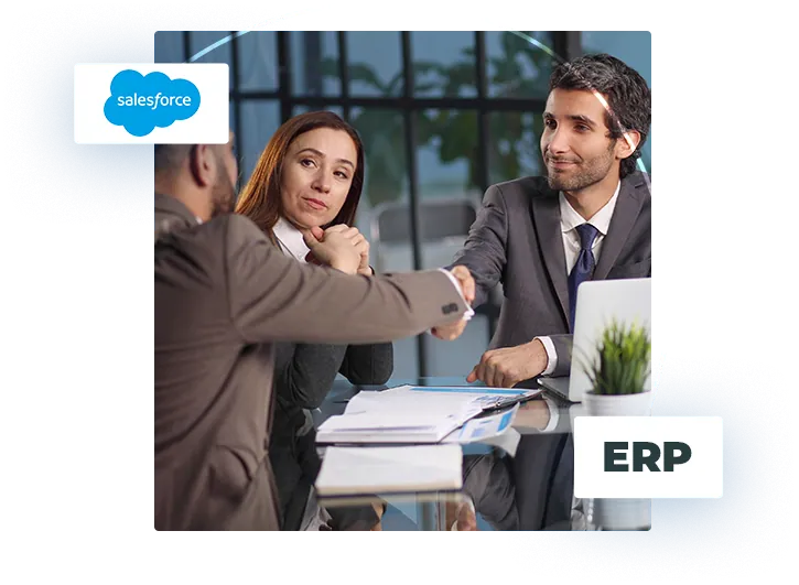 ERP Salesforce integration