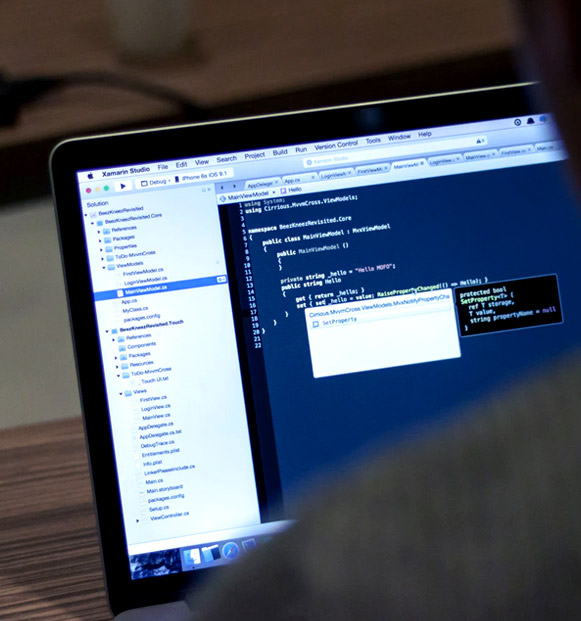 Angularjs Development Services