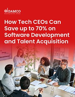 Tech CEOs on Software Development