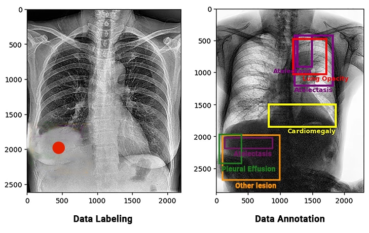 Medical Imaging Comparison