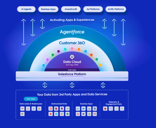 salesforce solve the data