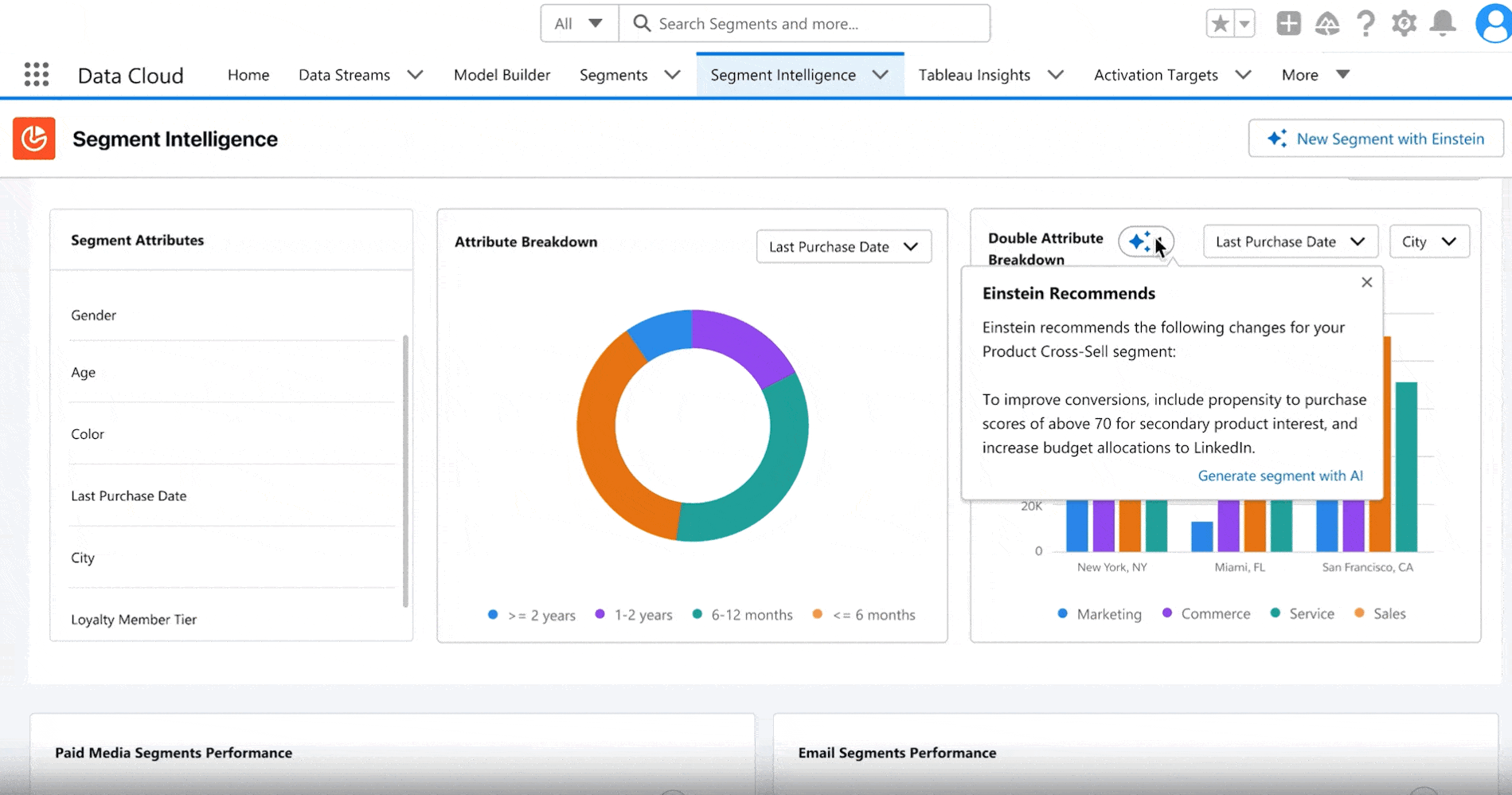 Segmentation agentforce Salesforce Damco