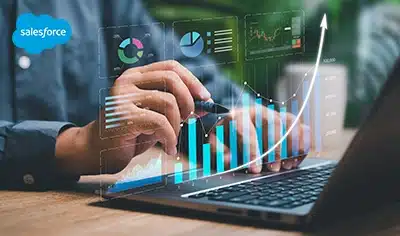 salesforce consultant