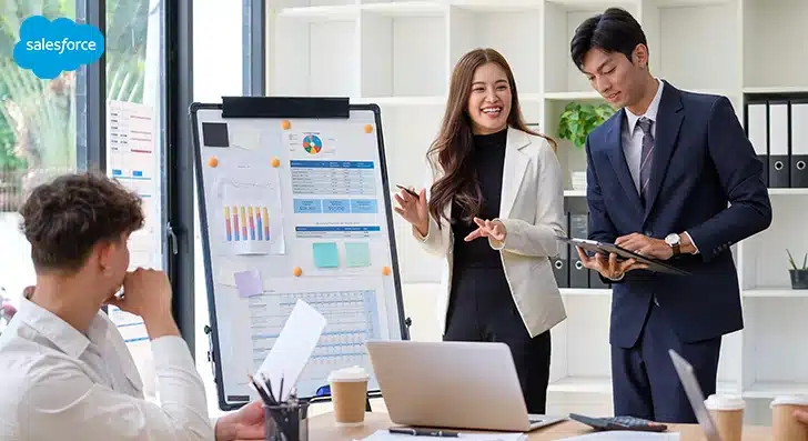Salesforce consultants
