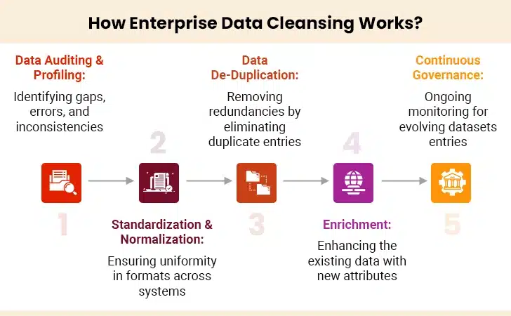 How Enterprise Data Cleansing Works