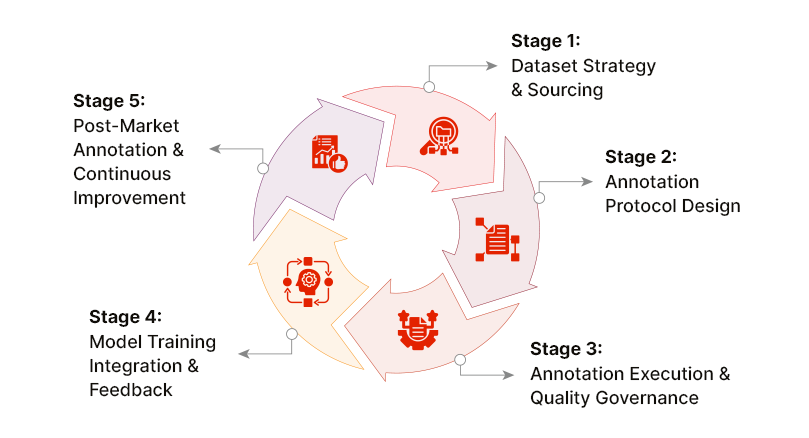 Medical Image Annotation Lifecycle