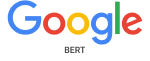 Google Bert